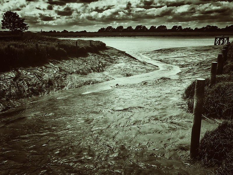Mud on the Banks of the River Great Ouse, King's Lynn 
Photo © James Rye 2022