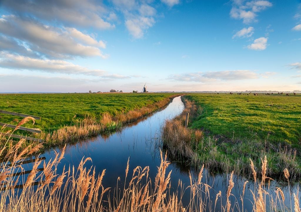 Drainage channels in the Fens