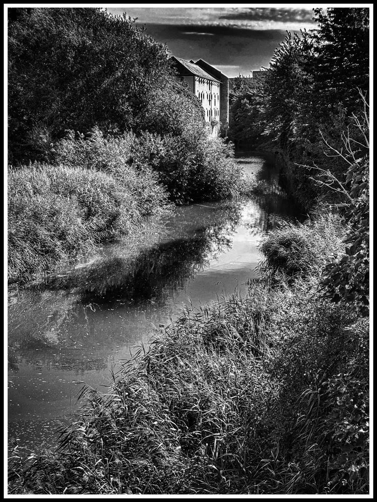 Millfleet, King’s Lynn. Much of Millfleet is now a road, but this part of the original watercourse is still visible.
Photo © James Rye 2026